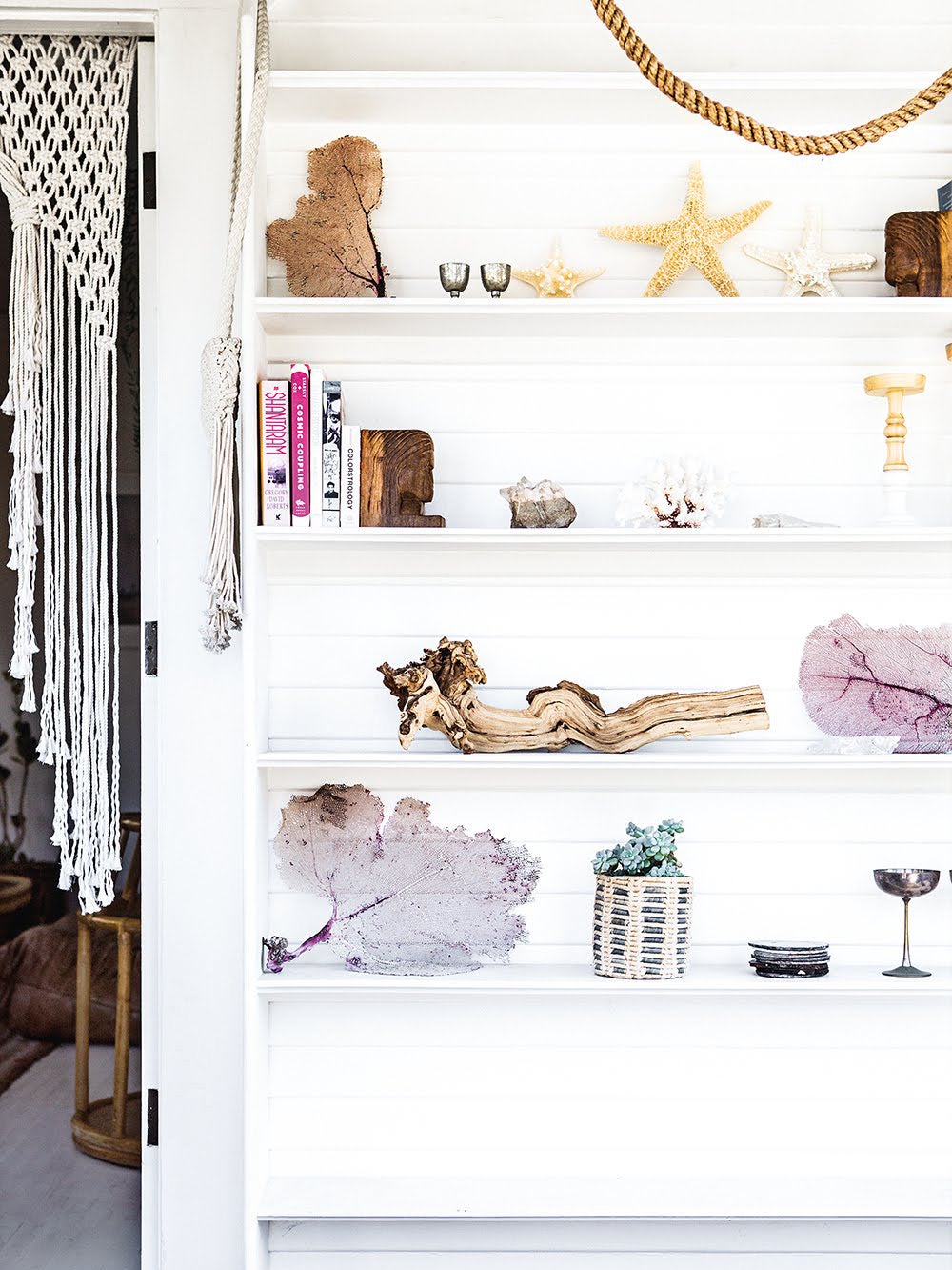 open shelving with nature finds