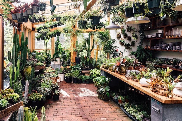 These Are the Prettiest Plant Shops In the World