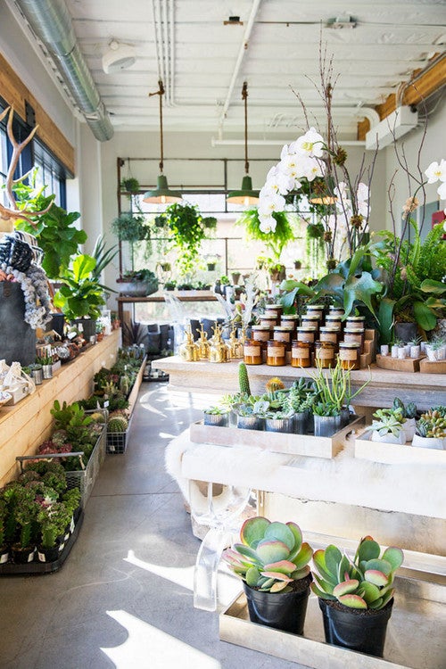 These Are the Prettiest Plant Shops In the World
