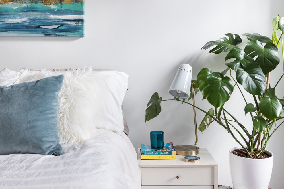 bedroom with monstera plant