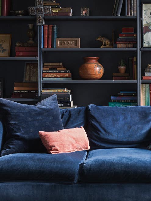 blue couch and dark blue bookcases
