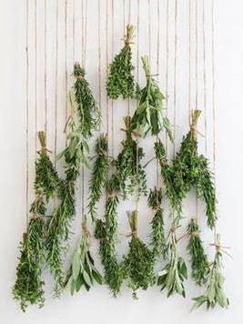 assortment of herbs hanging upside down to dry
