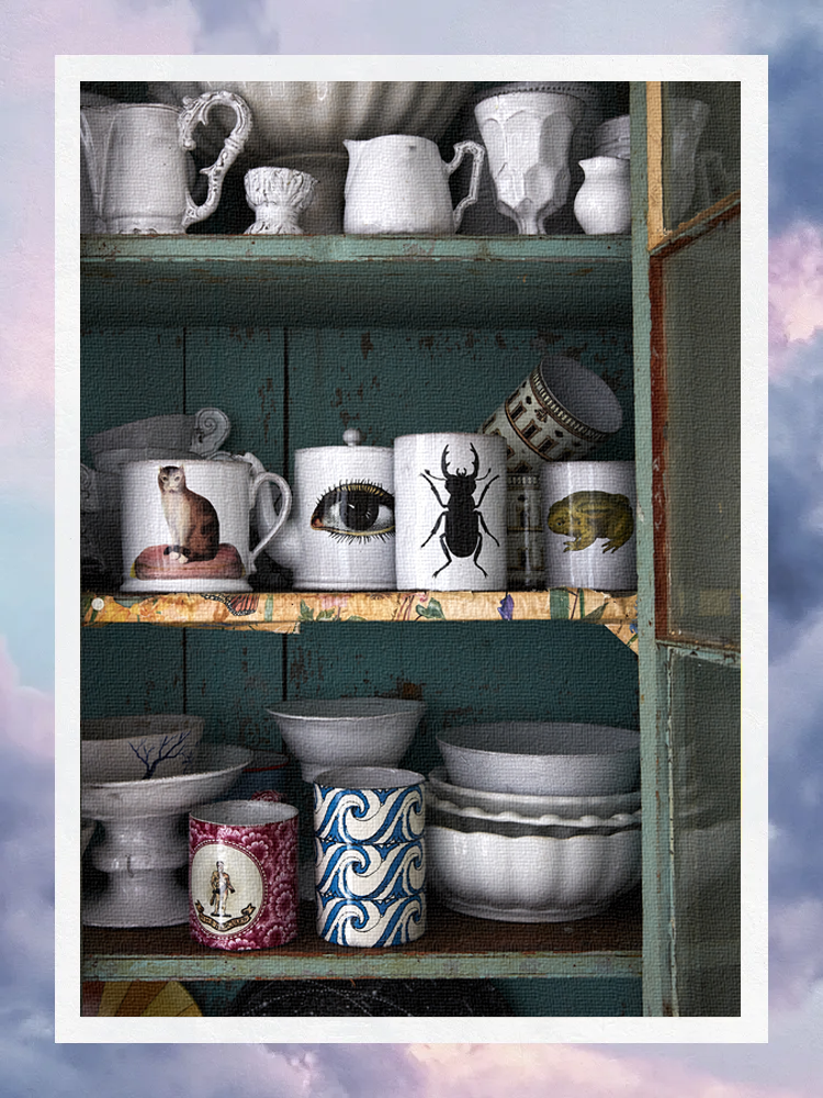 Collection of John Derian Mugs.