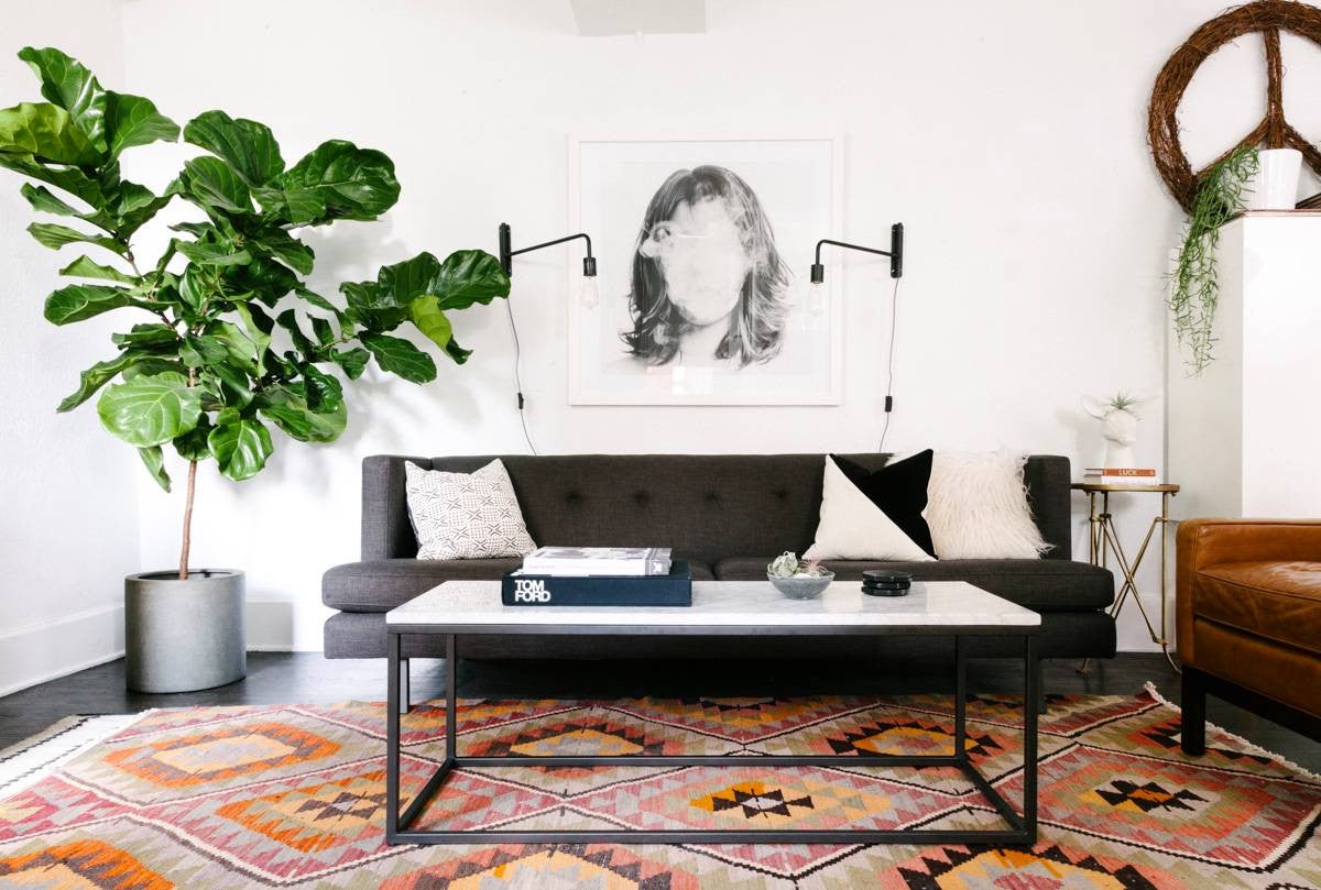 small space design white living room with black sofa and fiddle leaf tree
