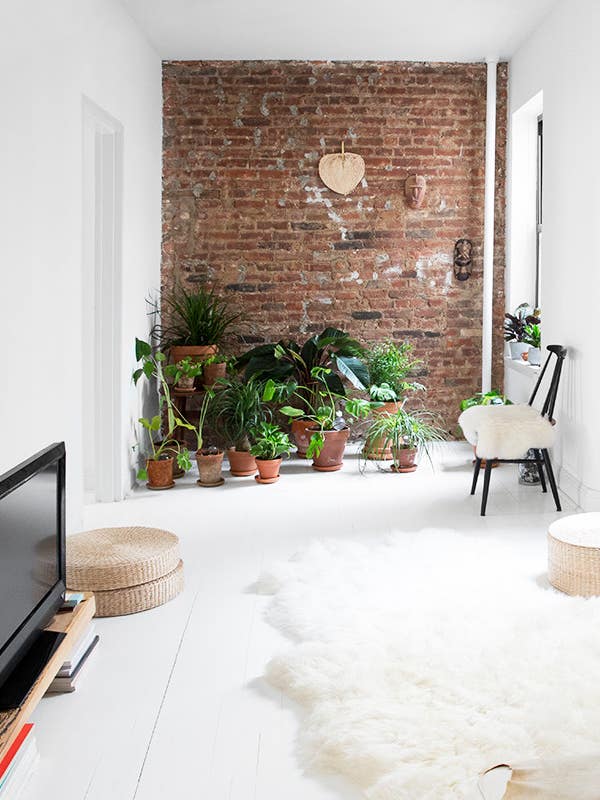 Renovating a Bathroom Turned This Apartment Into a Dream Home living room