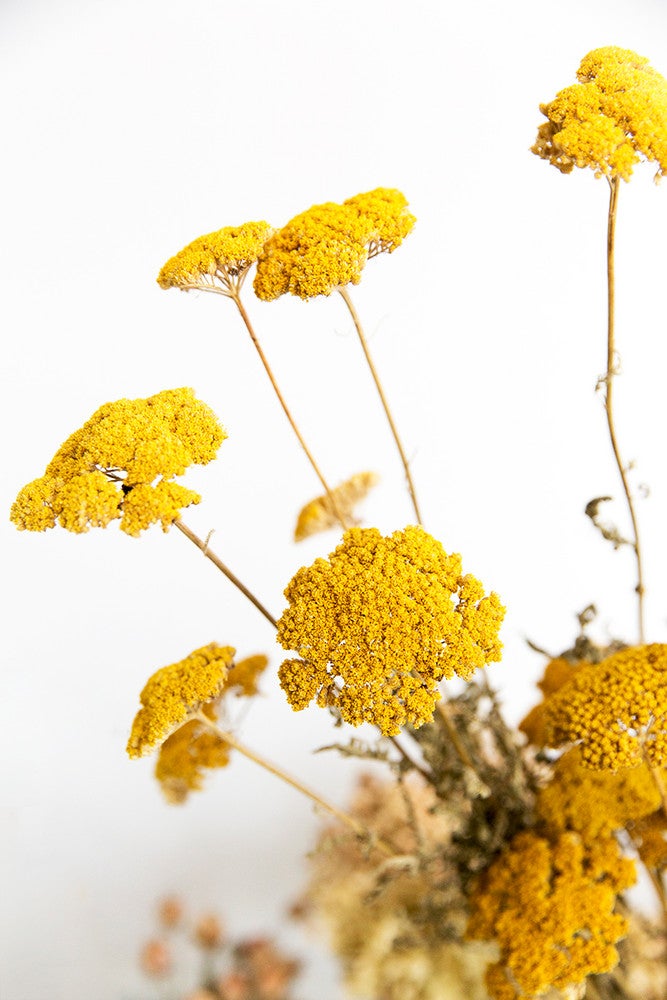 When Flowers Meet Sauerkraut: The Hudson Florist That’s Changing The Game