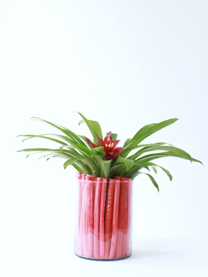 5 Creative Ideas For Using Rhubarb- rhubarb centerpiece