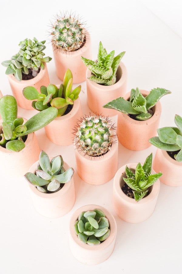 5 DIY Planter Projects To Try Now