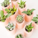5 DIY Planter Projects To Try Now