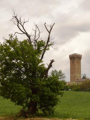 You Can Now Own An Italian Castle (And It's Free!)