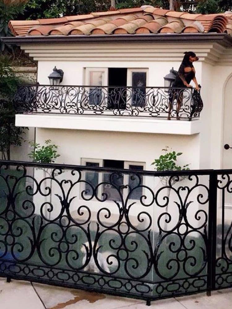 Paris Hilton's Dogs Live In A Mansion