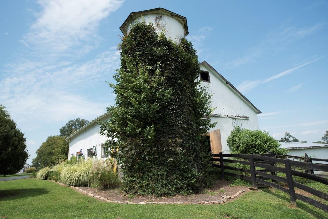 The Farm Johnny Depp Bought For His Mom Is On The Market