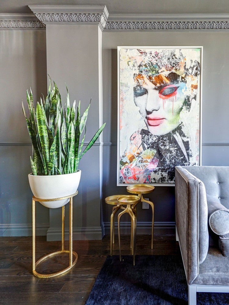How to decorate with plants, according to an expert