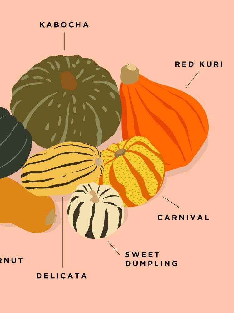 A Handy Guide to Winter Squash