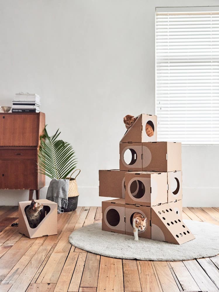 Design Studio Creates Modular Cardboard Furniture for Cats