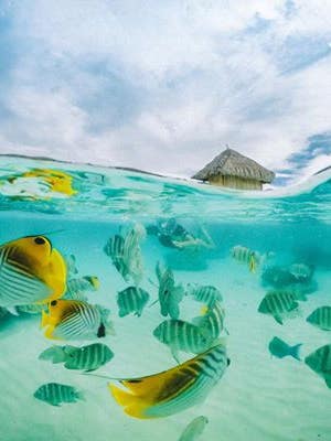 One Blogger Proves You Can Do Bora Bora On a Budget
