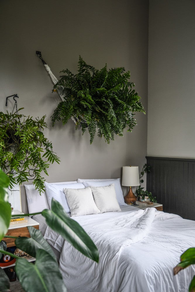 Hacks We Learned From Our Favorite Plant-Filled Homes