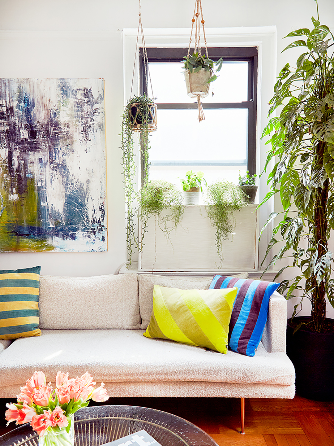How to Hang Plants Indoors