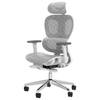 PatioMage Ergonomic Mesh Office Chair with 3D Adjustable Armrest, High Back Desk Computer Chair with Wheels White
