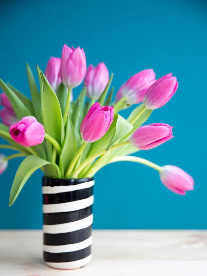 the best flowers for people with allergies