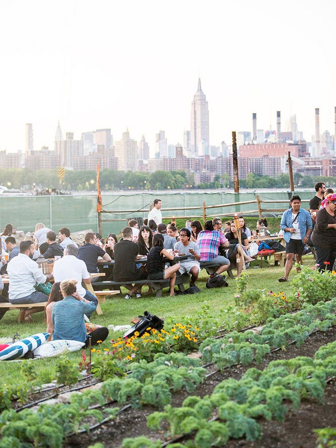 the urban farm that’s as cool as you think it is