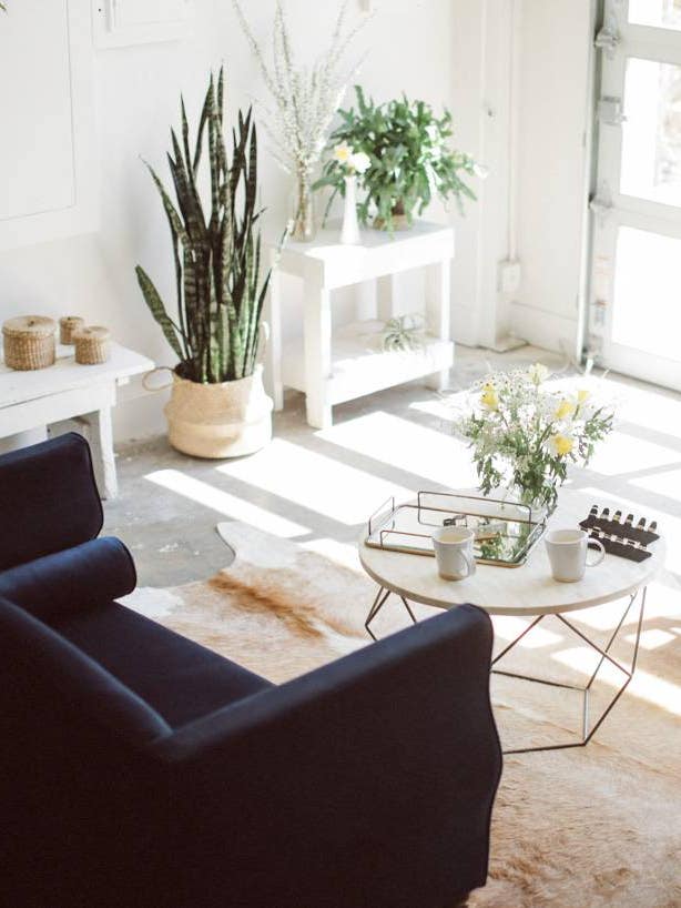 Blue and White Living room