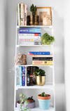 NYC Apartment Of Brooke Lucas Of The Wild Bunch White Shelving With Books