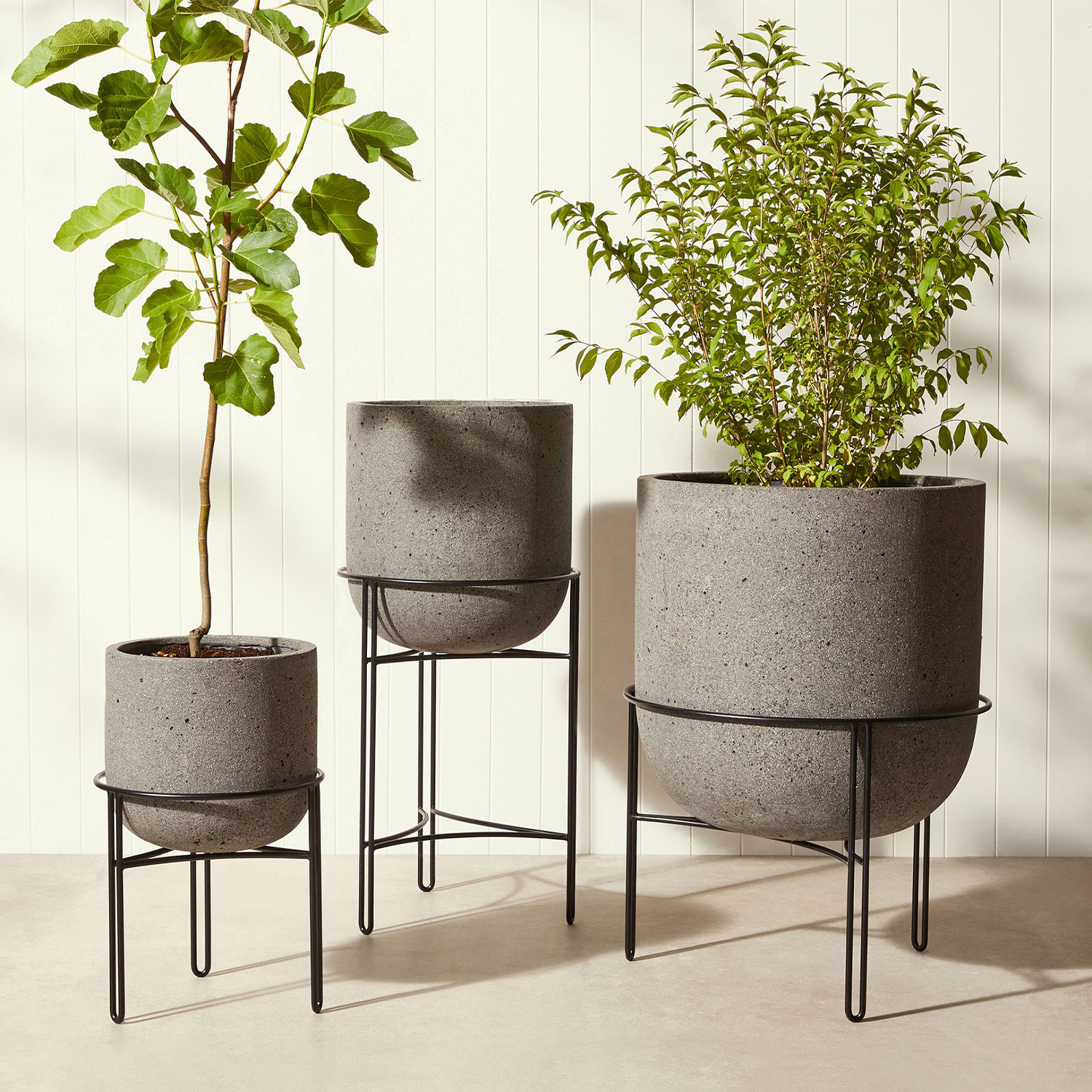 Rejuvenation planters with stand