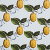 backdrop le citron