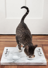 cat with marble tray