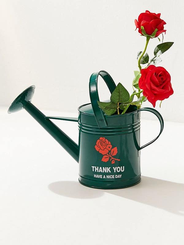 11 Watering Cans You’ll Love More than Your Plants
