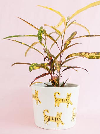 If You Love Your Plants, Buy Them This