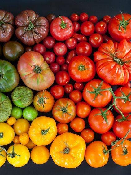 what to keep in the fridge heirloom tomatoes