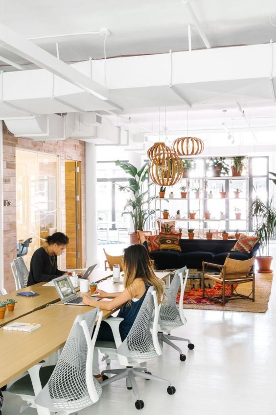 You’ll Wish You Worked in One of These Offices Soludos