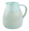 entertaining items seagate pitcher