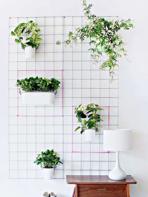 Unexpected Ways to Display Your Plants