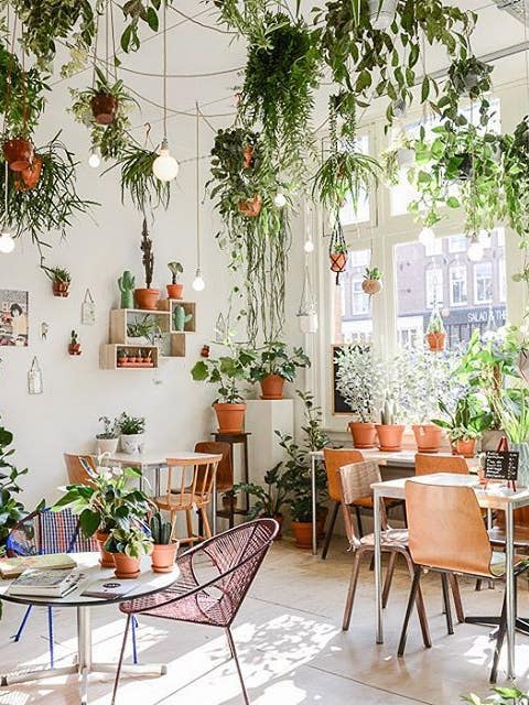 15 inspiring indoor gardens on instagram
