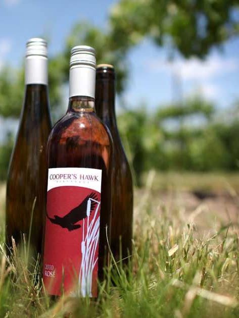vegan wine exists, and here’s what you need to know about it