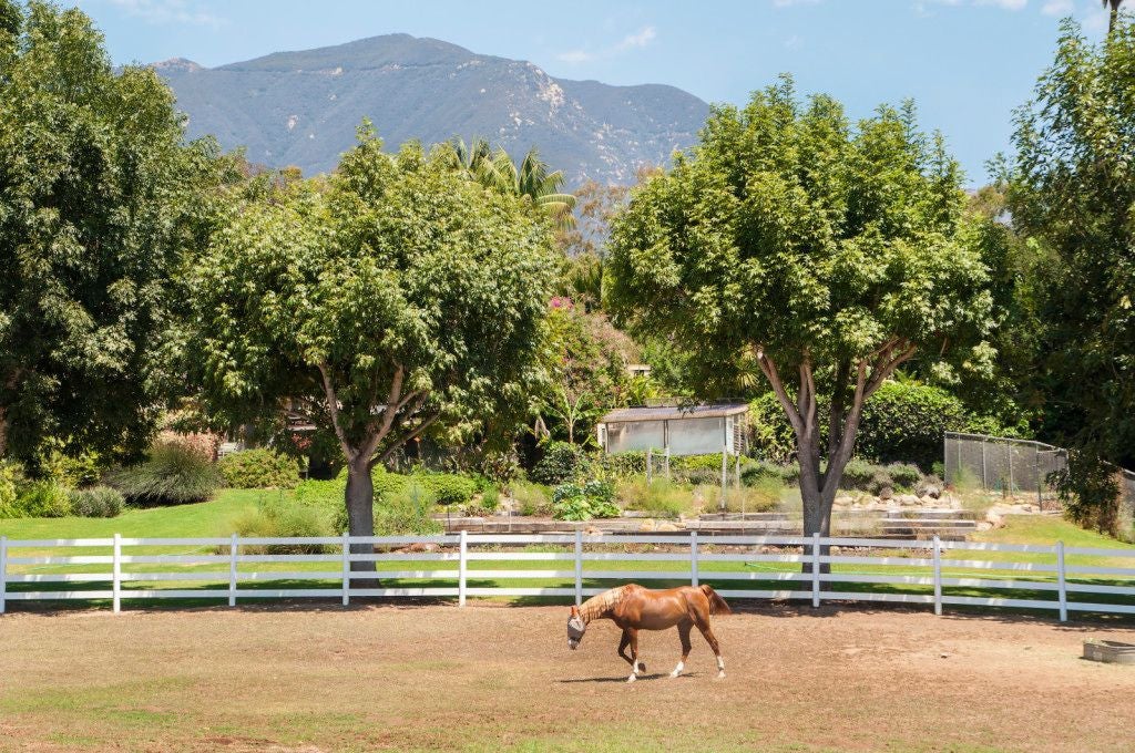oprah’s southern california horse ranch