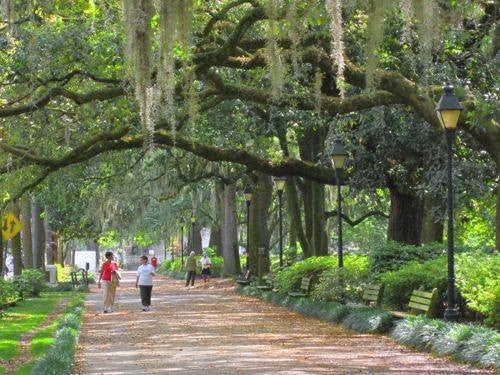 Things To Do Outside In Savannah