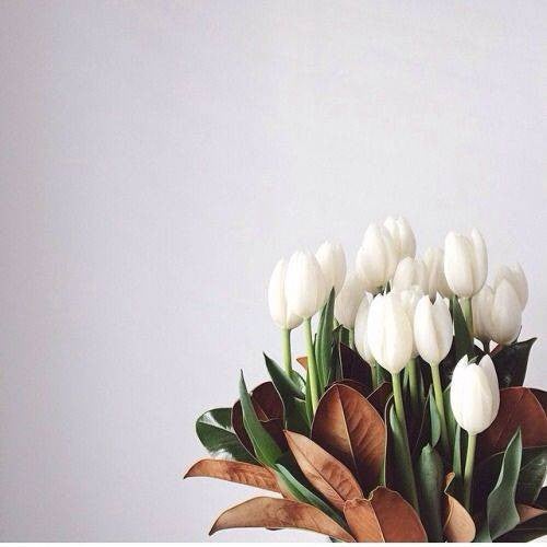 Spring Flower Arrangements white tulips
