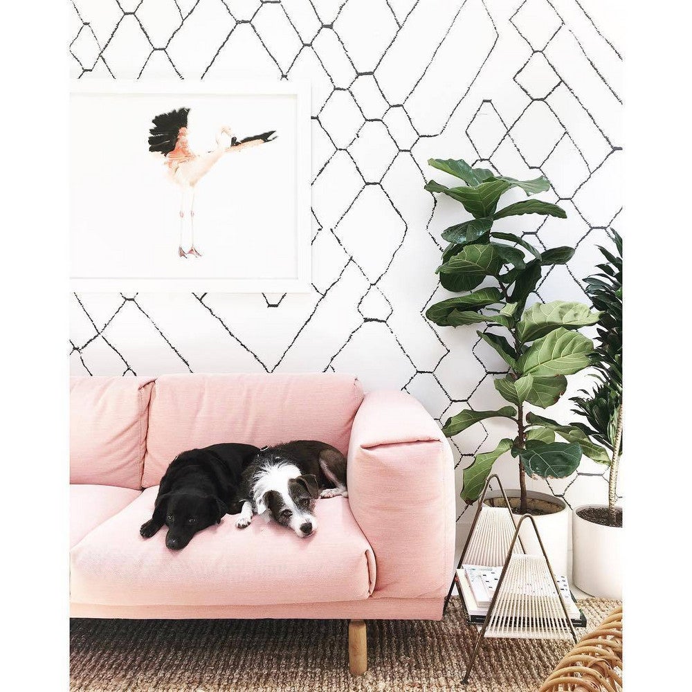 home-decor-patterns-pink-sofa-with-dog