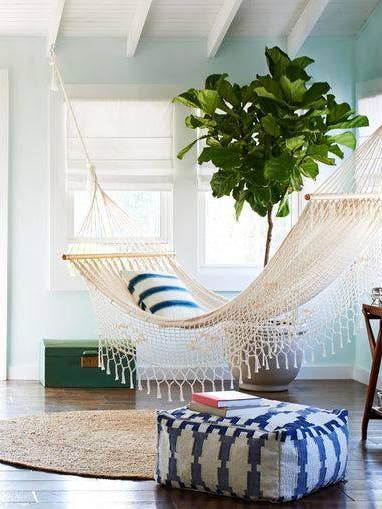 indoor hammock ivory hammock and fiddle fig tree