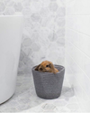 pet friendly rooms bunny in gray bathroom waste basket