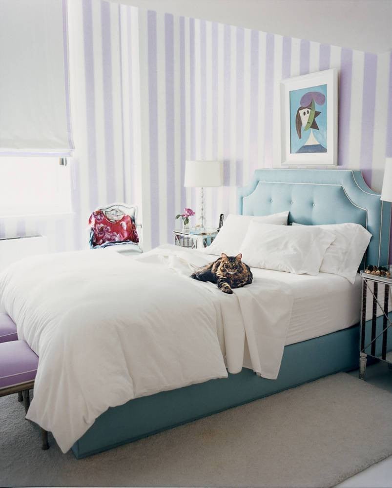 pet friendly rooms purple stripe bedroom with blue and white bedding