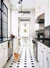 pet friendly rooms orange cat in black and white kitchen