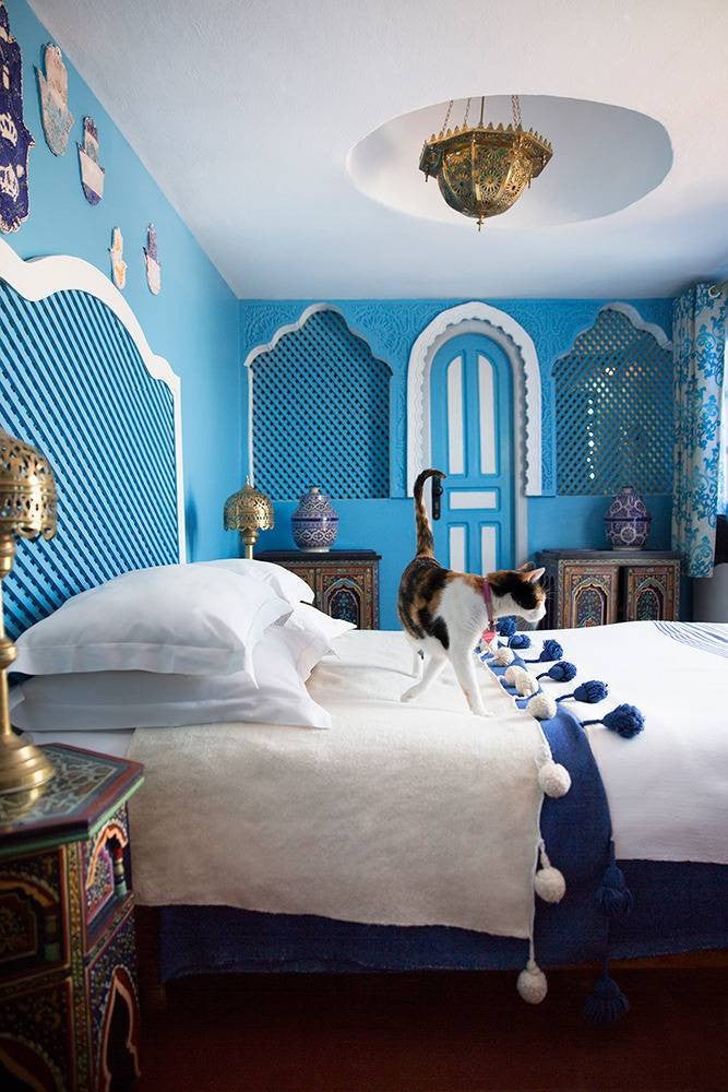 pet friendly rooms cat in blue moroccan bedroom