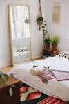 pet friendly rooms siamese cat on bed with mirror