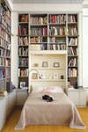 pet friendly rooms black and white dog on bed with bookshelves