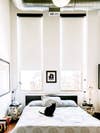 pet friendly rooms black cat on white bed with two windows